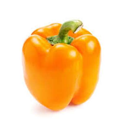 Poivron orange (gros calibre), Pays-bas