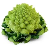 Chou romanesco BIO (petit calibre), France