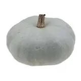 Courge Bleue de Hongrie BIO (calibre moyen), France