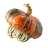 Courge Giraumon (0.8 à 1.3 Kg), France
