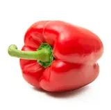 Poivron rouge (petit calibre), Espagne