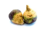 Filet de rutabaga BIO du Finistère Nord - Direct producteur (500 g), France