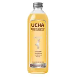 Boisson Fermentée Shot-Biotic Energy Gingembre, Guarana, Acérola, Maté UCHA