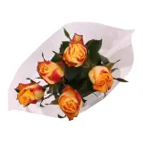 Rose bicolore 5 tiges