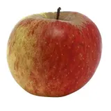 Pomme Boskoop (gros calibre), Belgique