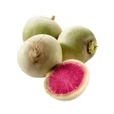Radis rond red meat BIO du Finistère Nord - Direct producteur, France