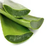 Aloe vera fine BIO (calibre moyen), Espagne