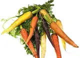 Carottes rainbow BIO du Finistère Nord - Direct producteur (barquette de 1 kg), France