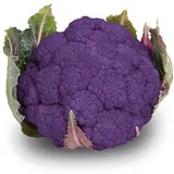 Chou-fleur violet BIO (petit calibre), France