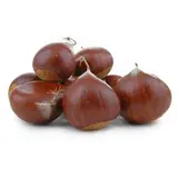 Filet de gros marrons frais (500 g), France