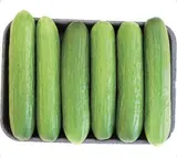 SUPER PRIX Lot de 6 mini concombres, Espagne