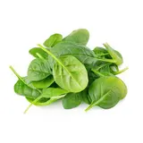 Épinard Jeune Pousse, Barquette de 125g