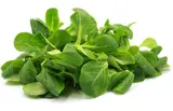 Mâche BIO du Finistère Nord - Direct producteur (barquette de 150 g), France