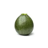 Courgette ronde verte (calibre moyen), Espagne