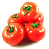 Barquette de tomates rondes BIO du Finistère Nord - direct producteur (500 g), France