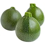 Lot de 3 courgettes rondes vertes (petit calibre), Espagne